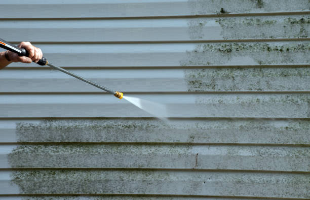 Best Fence Pressure Washing  in Blaine, MN