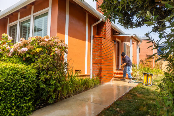 Best Local Pressure Washing Services  in Blaine, MN